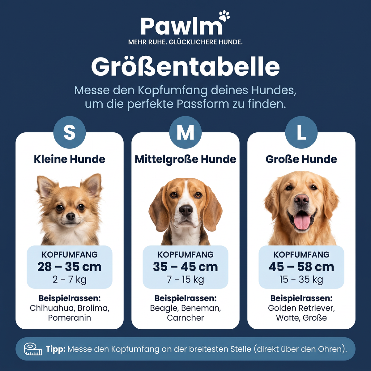 Beruhigende Ohrenschützer für Hunde
